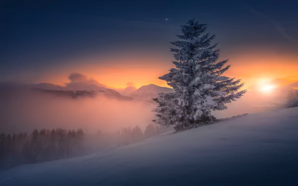 A solitary snow-covered tree on a winter hillside at sunset in Austria, with misty mountains and a glowing sky in the background.