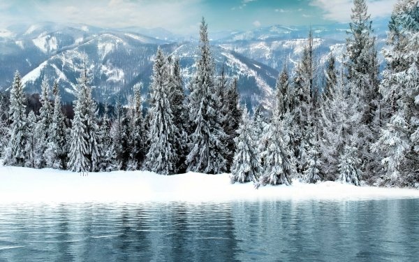 Earth Winter Snow Forest Mountain Lake HD Wallpaper | Background Image