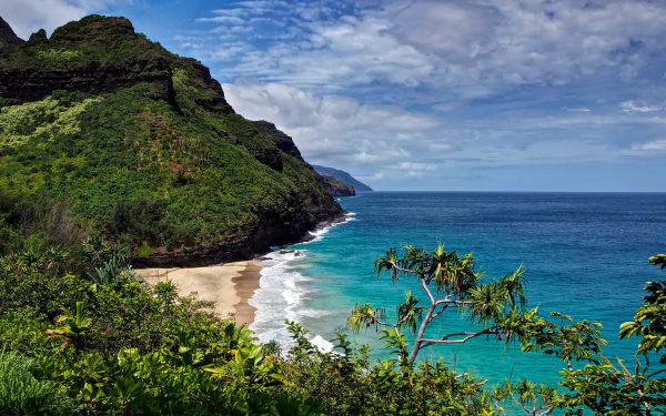  Hawaiian Beach