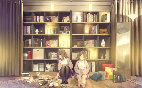 Anime Room Cat Barefoot Bookshelf HD Wallpaper | Background Image