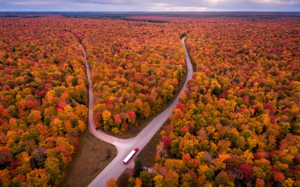 Man Made Road Forest Michigan USA HD Wallpaper | Background Image