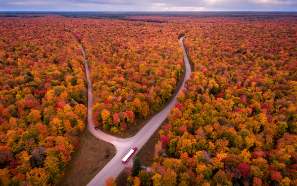  Roads through Autumn Forests
