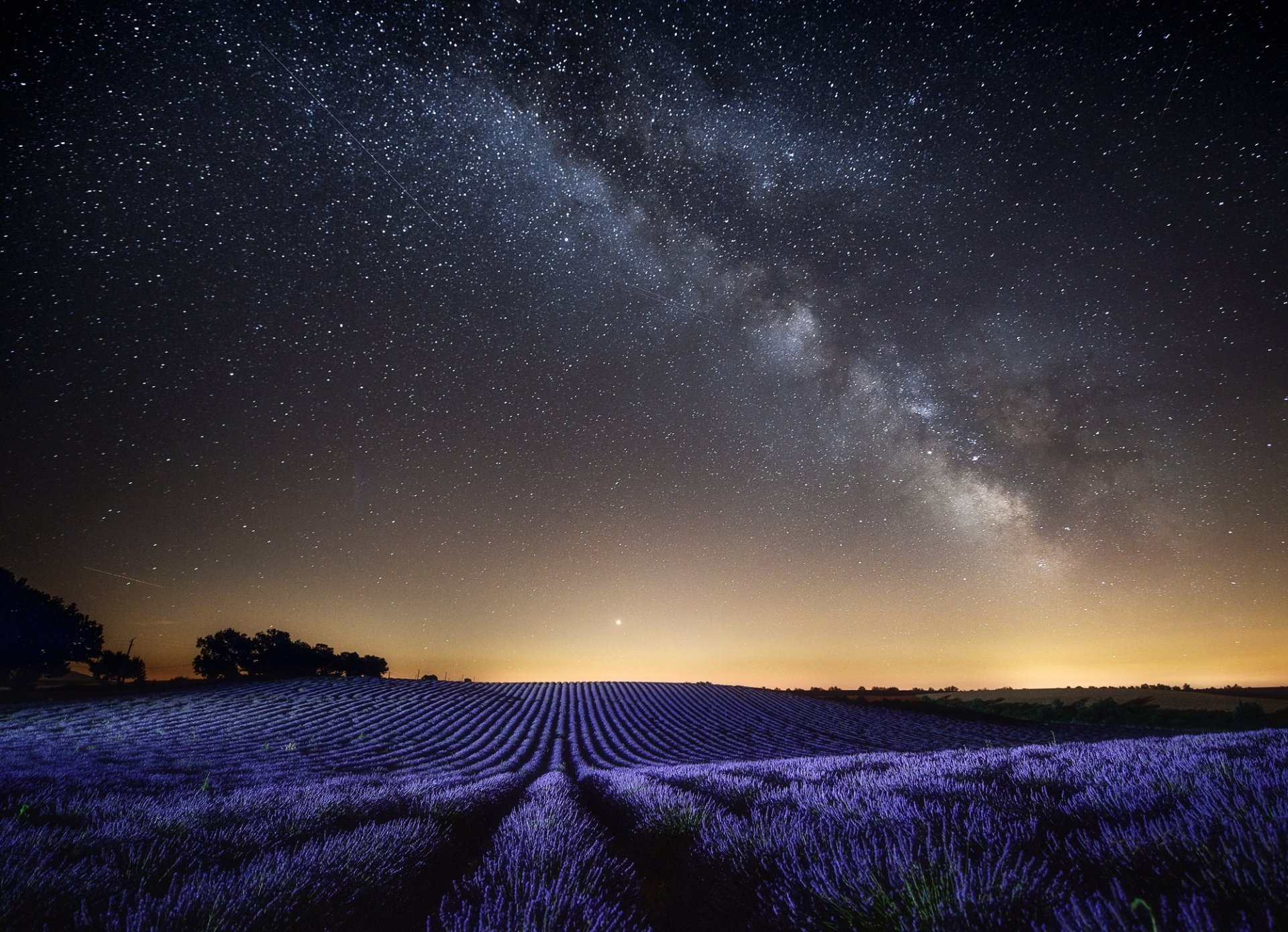 Download Field Starry Sky Night Nature Lavender HD Wallpaper