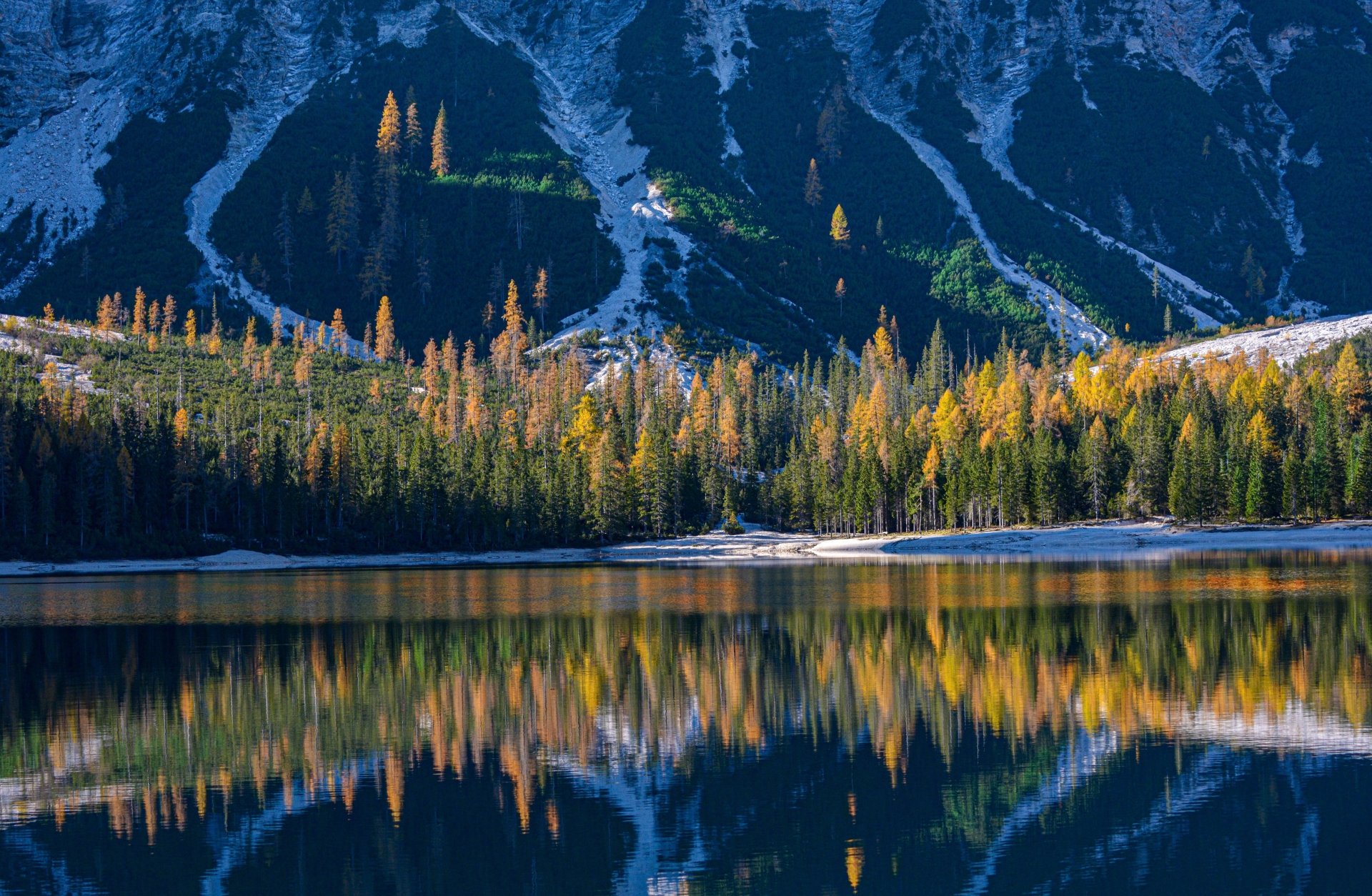 Forest reflected by a mountain lake