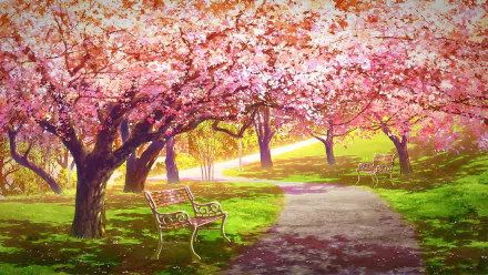 Anime-style HD desktop wallpaper of a serene path lined with blooming sakura trees and empty benches bathed in warm sunlight.