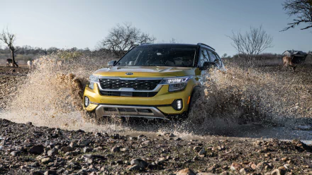 SUV yellow car car Kia vehicle Kia Seltos HD Desktop Wallpaper | Background Image