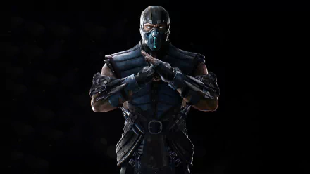 Sub-Zero (Mortal Kombat) Mortal Kombat video game Mortal Kombat 11 HD Desktop Wallpaper | Background Image