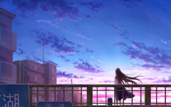Anime Original Sky Long Hair HD Wallpaper | Background Image