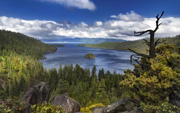 forest USA lake nature landscape cloud Lake Tahoe HD Desktop Wallpaper | Background Image