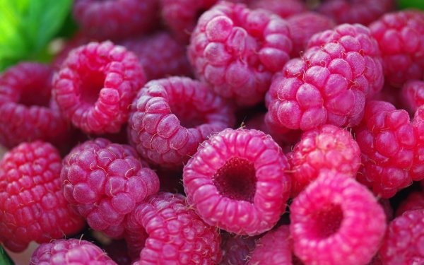 Food Raspberry Fruits Berry Fruit HD Wallpaper | Background Image