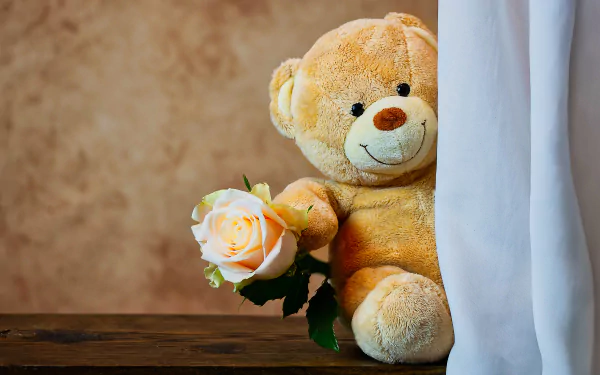  Teddy Bear Holding a Rose