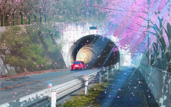 Anime Road Tunnel Car Sakura Street Flower HD Wallpaper | Background Image
