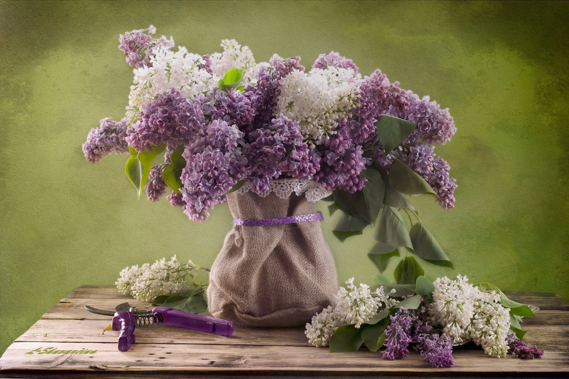 Still Life Lilac Isolated White Background Stock Photo by ©ALVERA