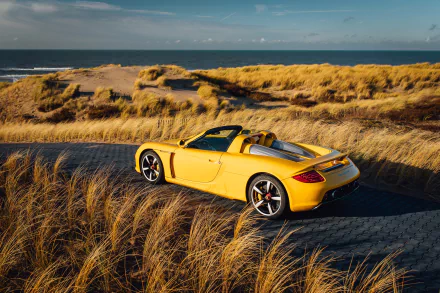 Yellow Porsche Carrera GT driving on a winding road through golden grass under a blue sky, captured in HD for a vibrant PC desktop wallpaper background.