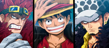 Trafalgar Law Monkey D. Luffy Eustass Kid Anime One Piece HD Desktop Wallpaper | Background Image