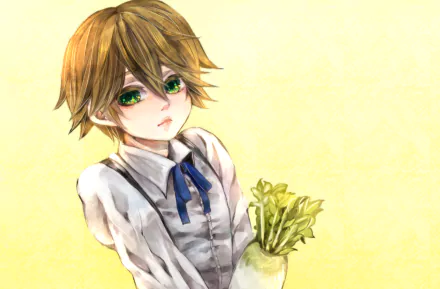 Kotarou Kawasumi Anime Inu x Boku SS HD Desktop Wallpaper | Background Image