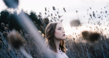  Cold Mornings by Michael Färber