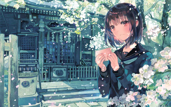 Anime-style HD desktop wallpaper of a schoolgirl in uniform holding a letter, standing amid blooming cherry blossoms in front of a traditional shrine.