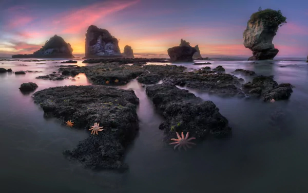 nature New Zealand seascape HD Desktop Wallpaper | Background Image