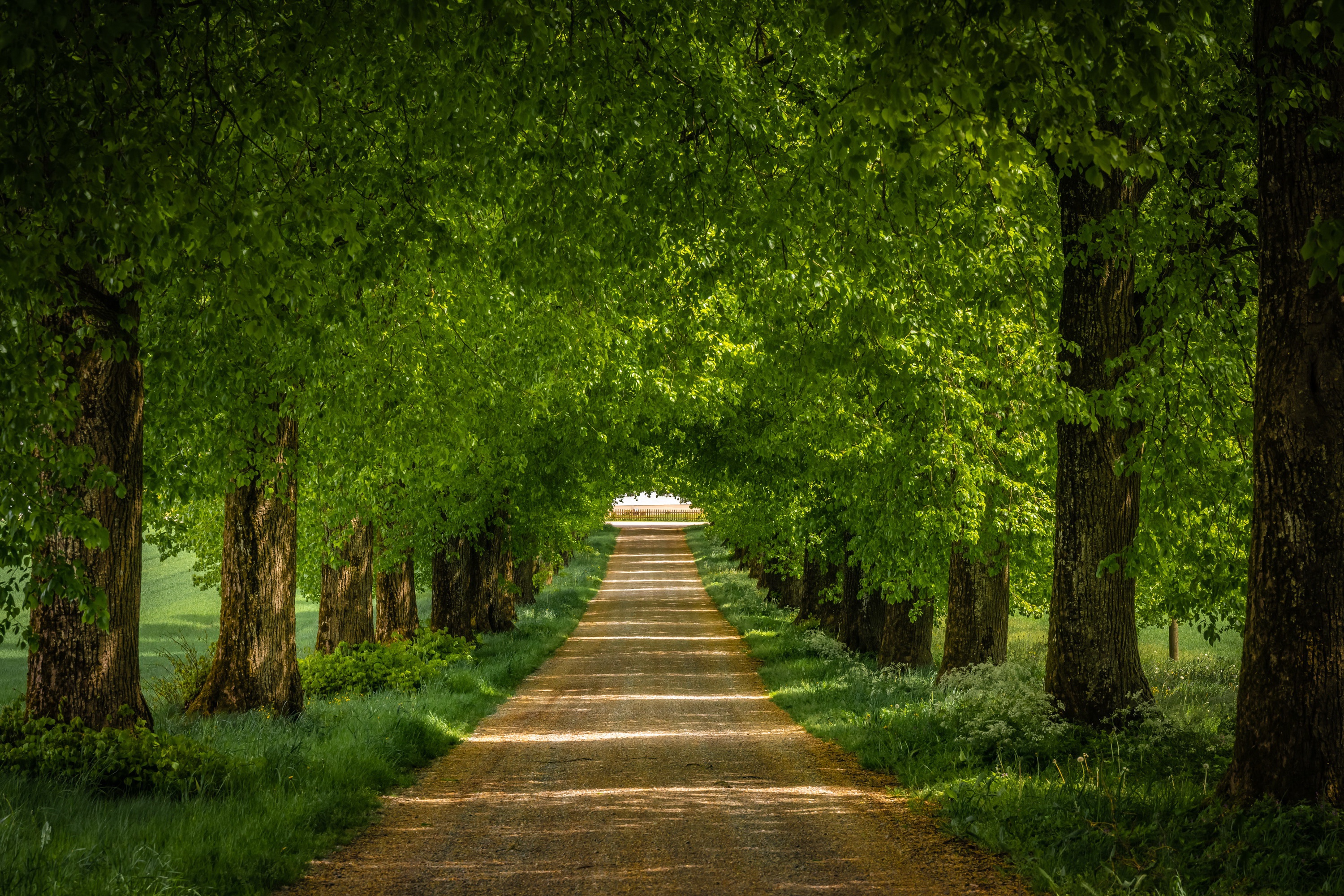 Road HD Wallpaper