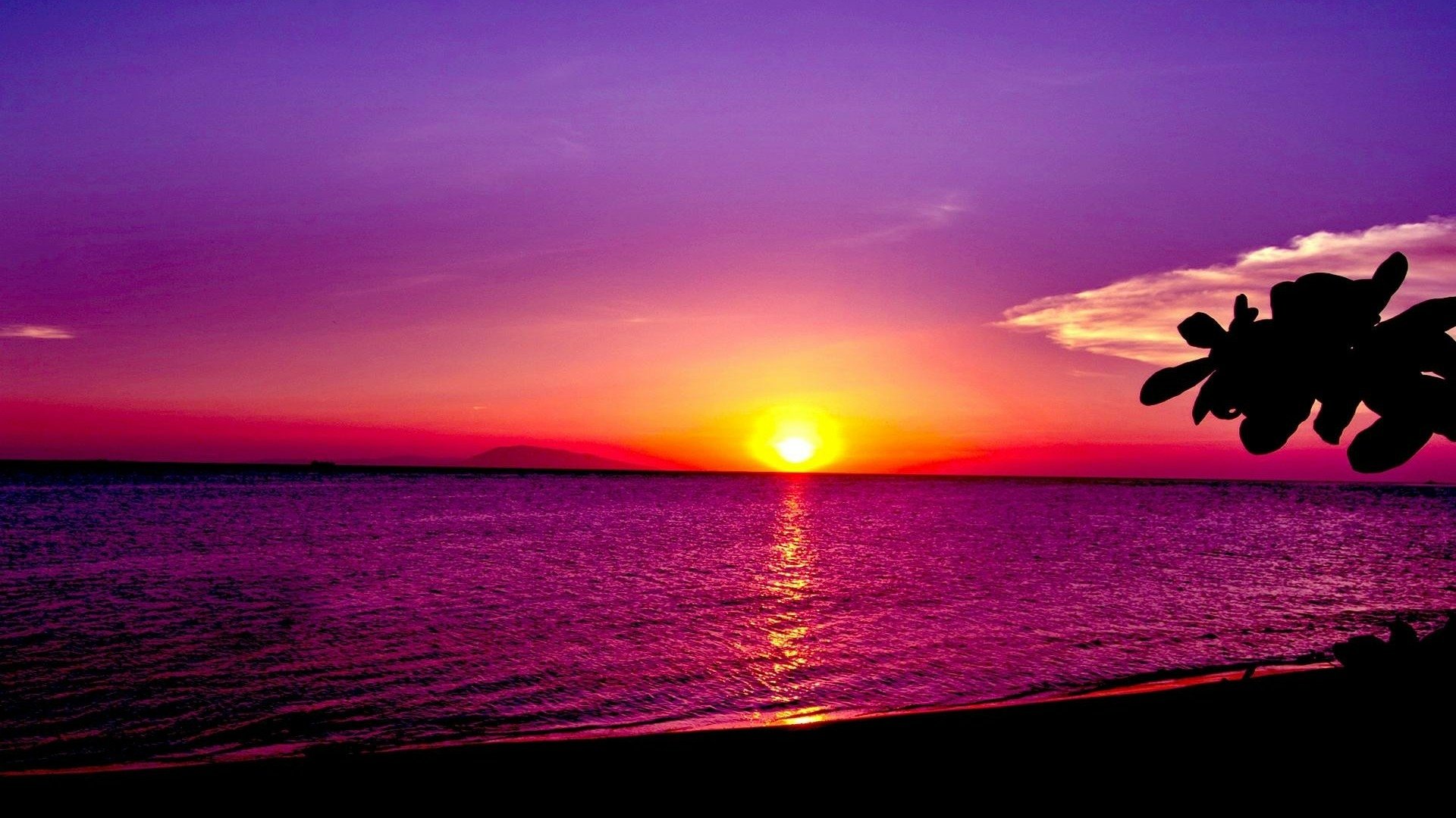 Download Ocean Sun Purple Sky Nature Sunset HD Wallpaper