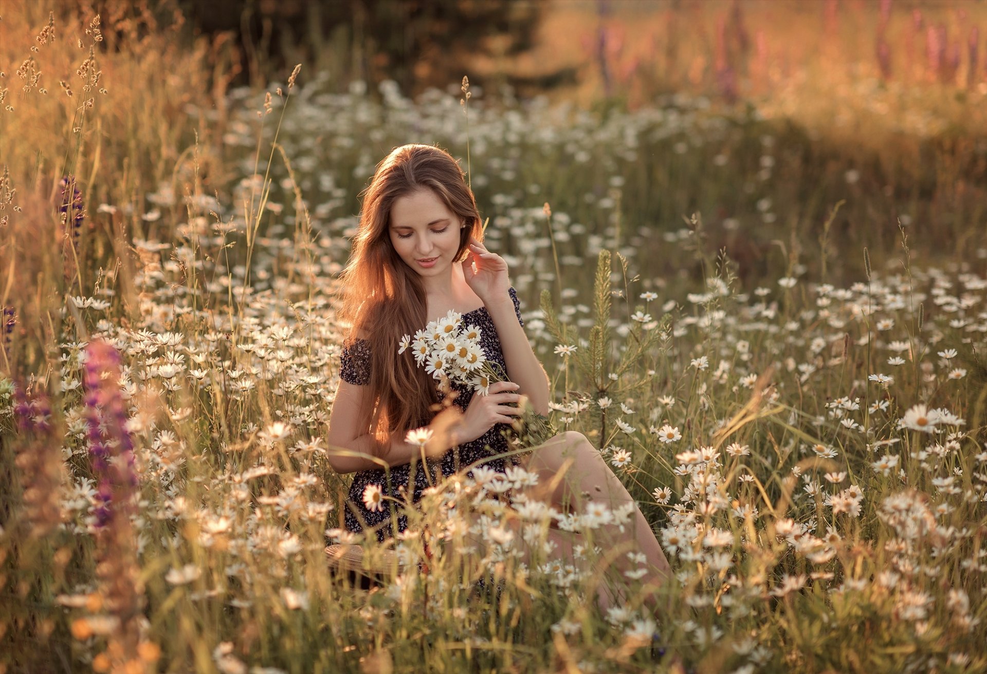 Download Chamomile Redhead Mood Long Hair Woman Model HD Wallpaper