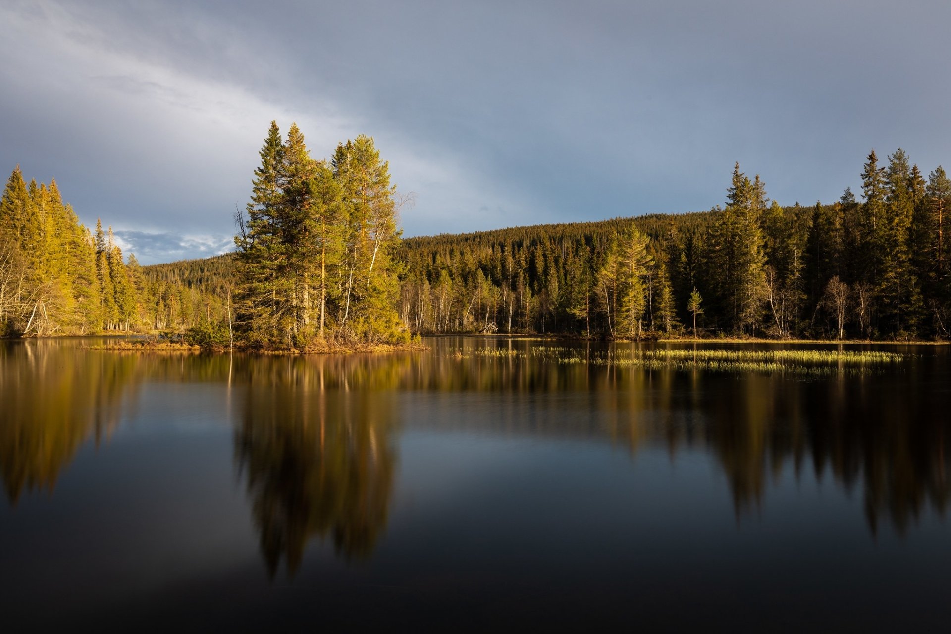 Download Reflection Sky Forest Nature Lake HD Wallpaper