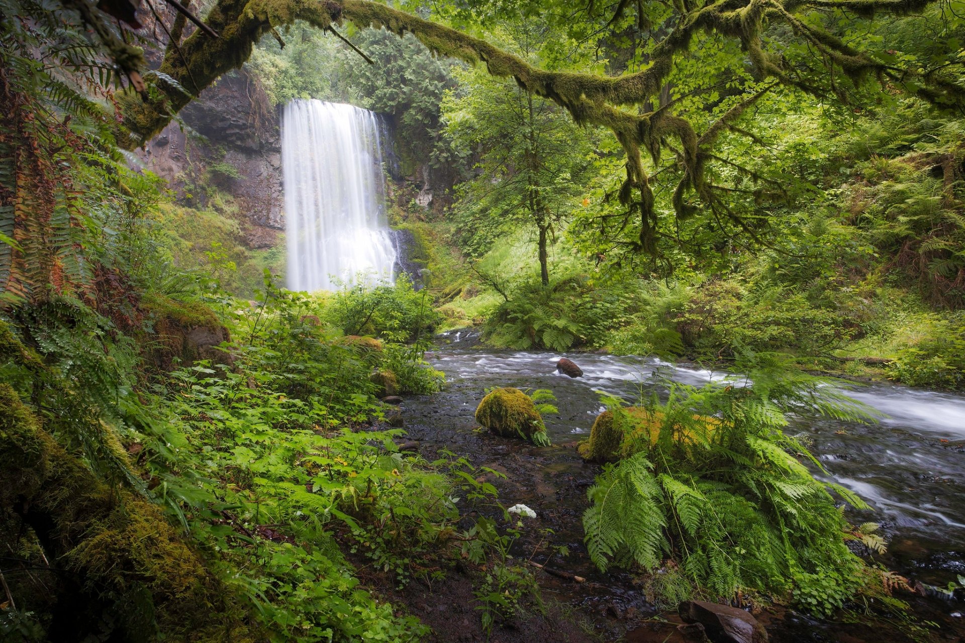 Download Vegetation River Nature Waterfall HD Wallpaper