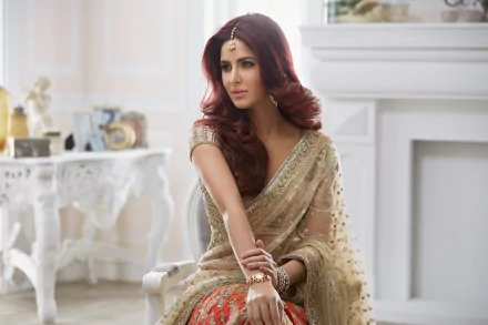 saree Bollywood actress Indian Celebrity Katrina Kaif HD Desktop Wallpaper | Background Image