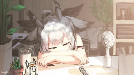 sleeping white hair Ptilopsis (Arknights) video game Arknights HD Desktop Wallpaper | Background Image