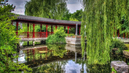 willow park bridge tree man made garden HD Desktop Wallpaper | Background Image