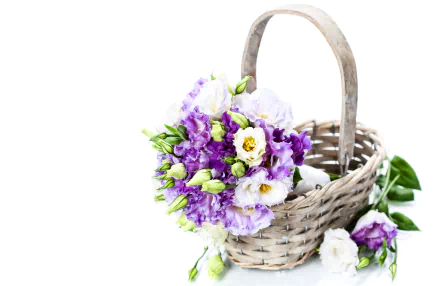 eustoma basket man made flower HD Desktop Wallpaper | Background Image