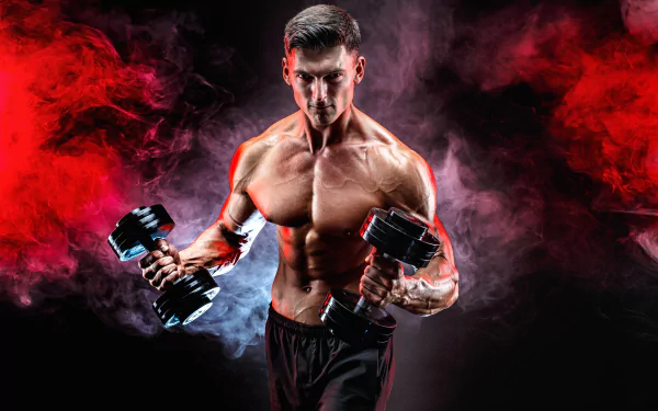 muscle weightlifting Sports HD Desktop Wallpaper | Background Image