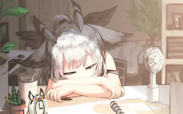 HD desktop wallpaper featuring Ptilopsis from Arknights, a white-haired character sleeping peacefully at a desk surrounded by plants and a small owl figure.