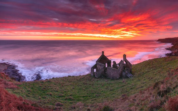  Scotland, United Kingdom, Lamberton