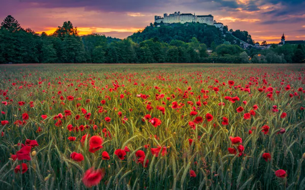 Austria, Salzburg