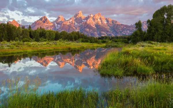 4K Ultra HD image of Grand Teton National Park featuring a vibrant mountain landscape reflected in calm water, surrounded by lush grass and trees under a colorful sky.