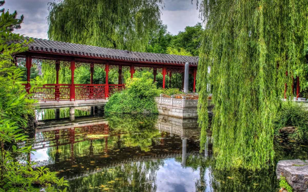 willow park bridge tree man made garden HD Desktop Wallpaper | Background Image
