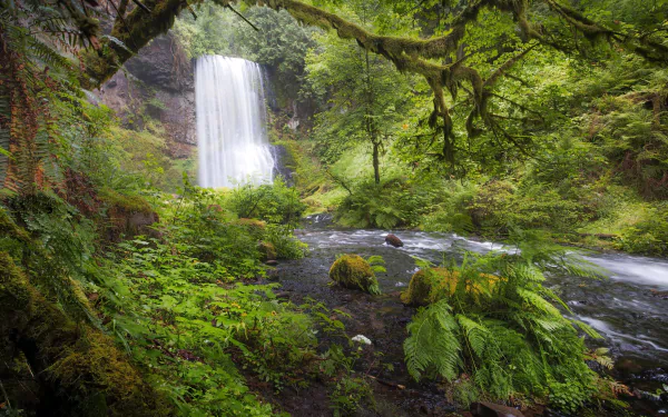  Oregon, Columbia River Gorge, Upper Bridal Veil Falls