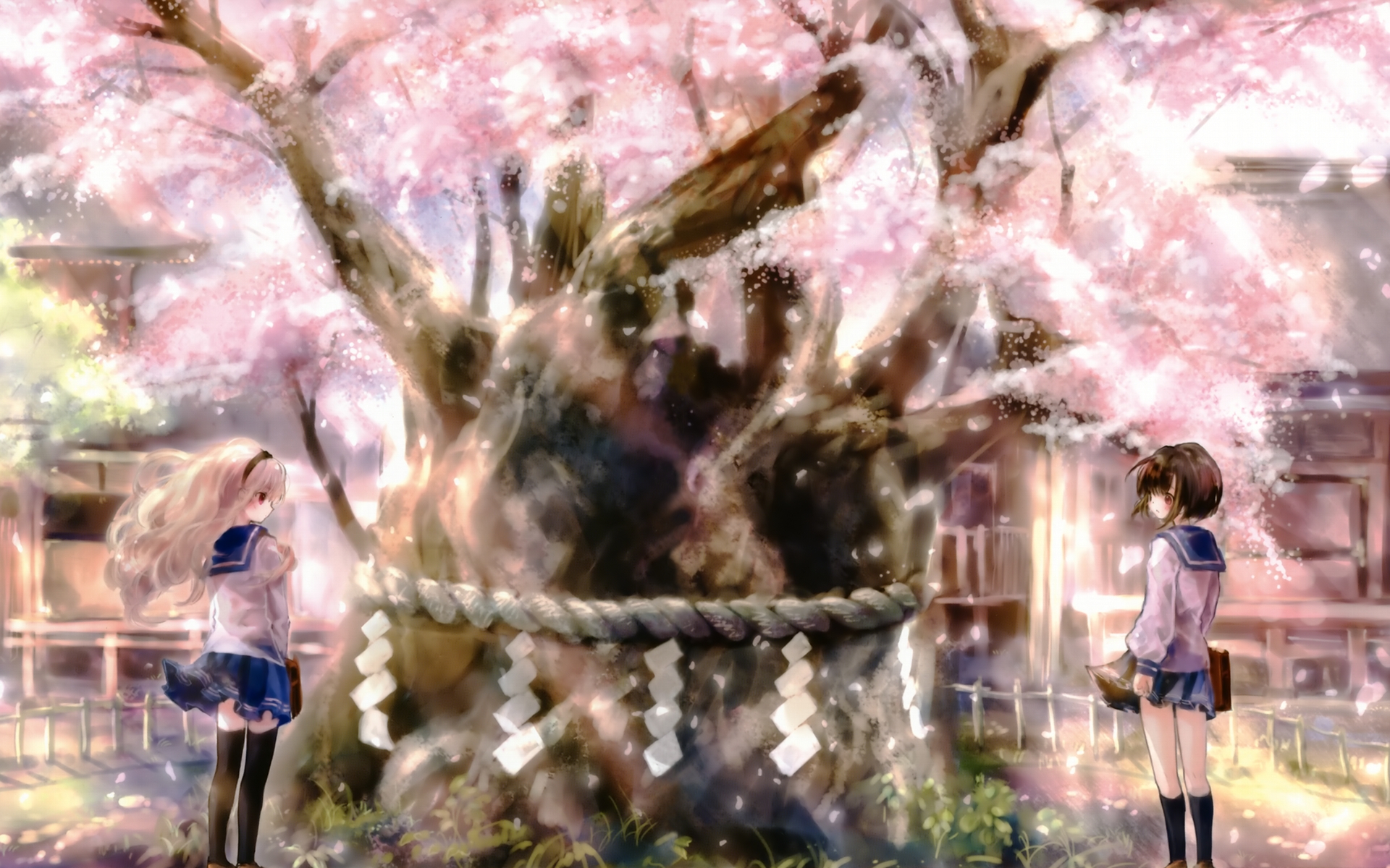 Anime girl under a cherry blossom tree in spring.