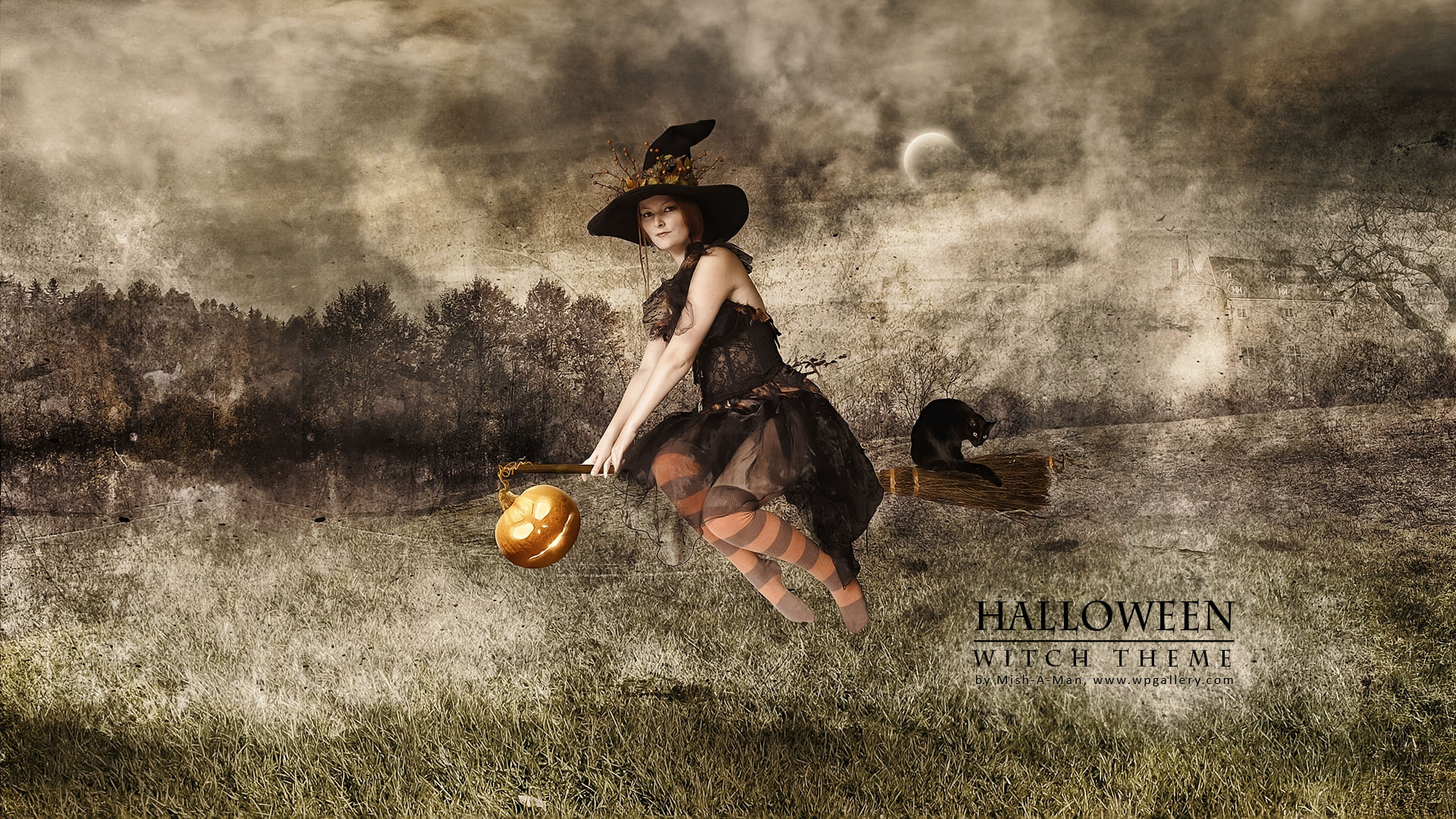 Holiday Halloween HD Wallpaper | Background Image