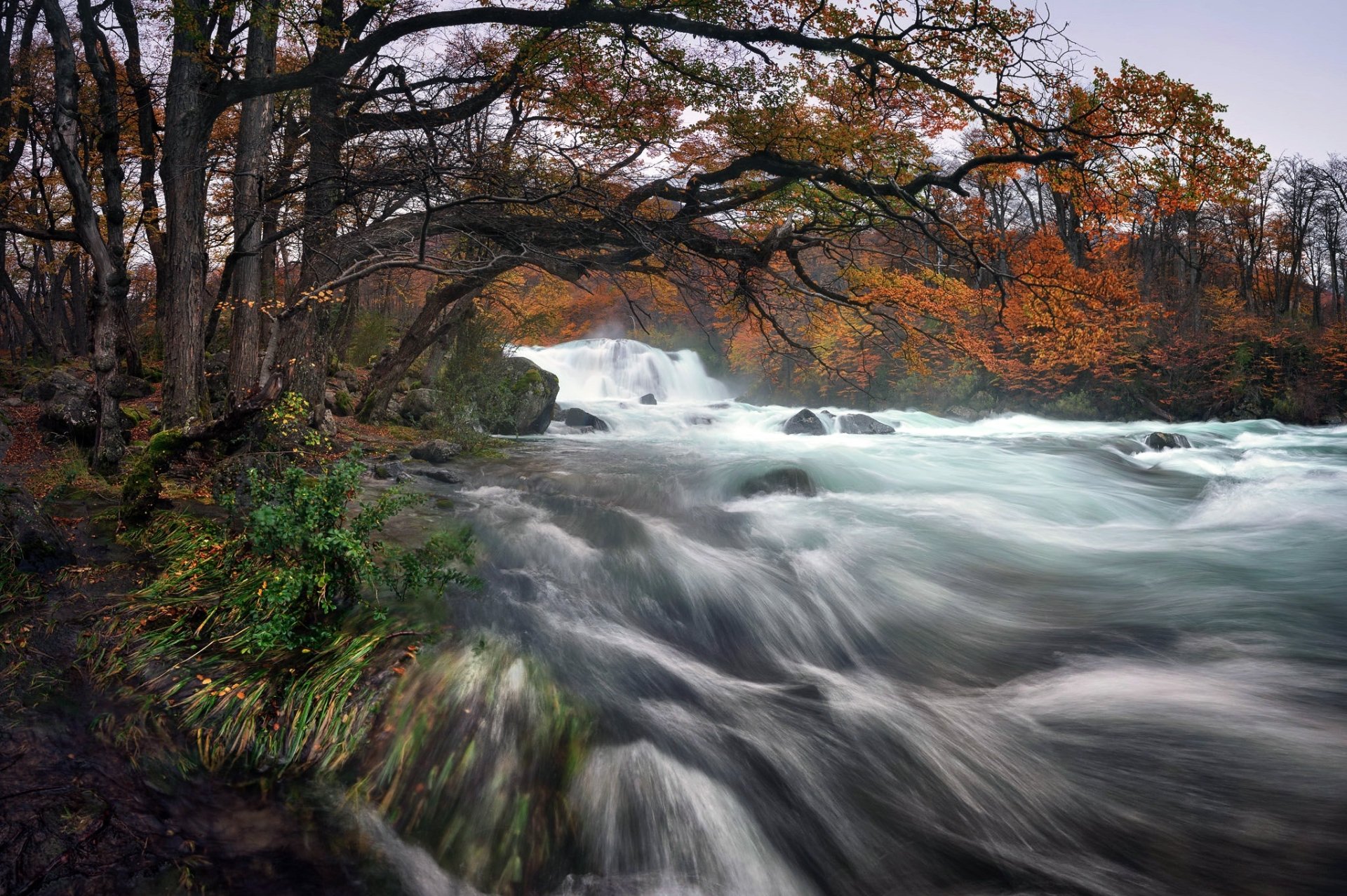 HD PC desktop wallpaper: a rushing river in Argentina in fall, framed by orange-leafed trees, moss-covered rocks and swirling whitewater.