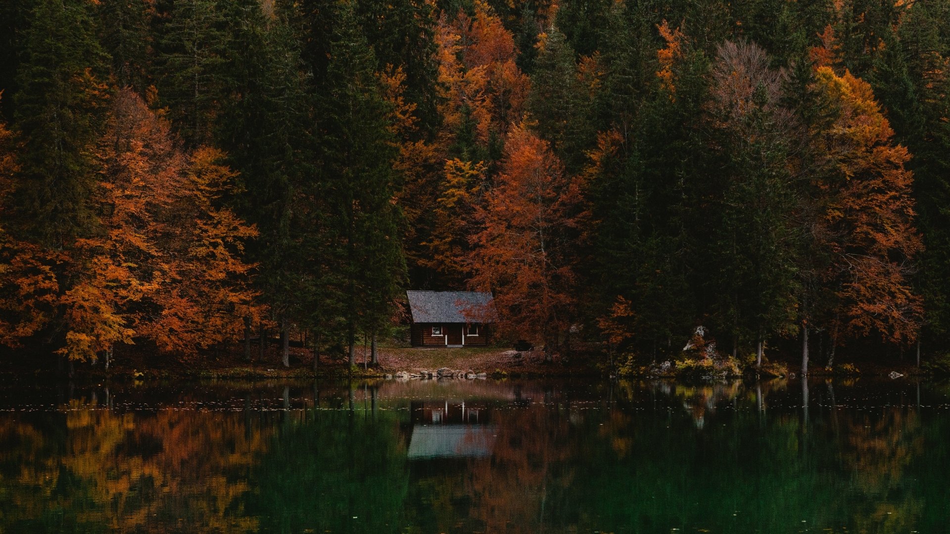A serene 4K Ultra HD image of a cabin reflecting on a lake, surrounded by a vibrant fall forest in Italy, captured in stunning nature photography.