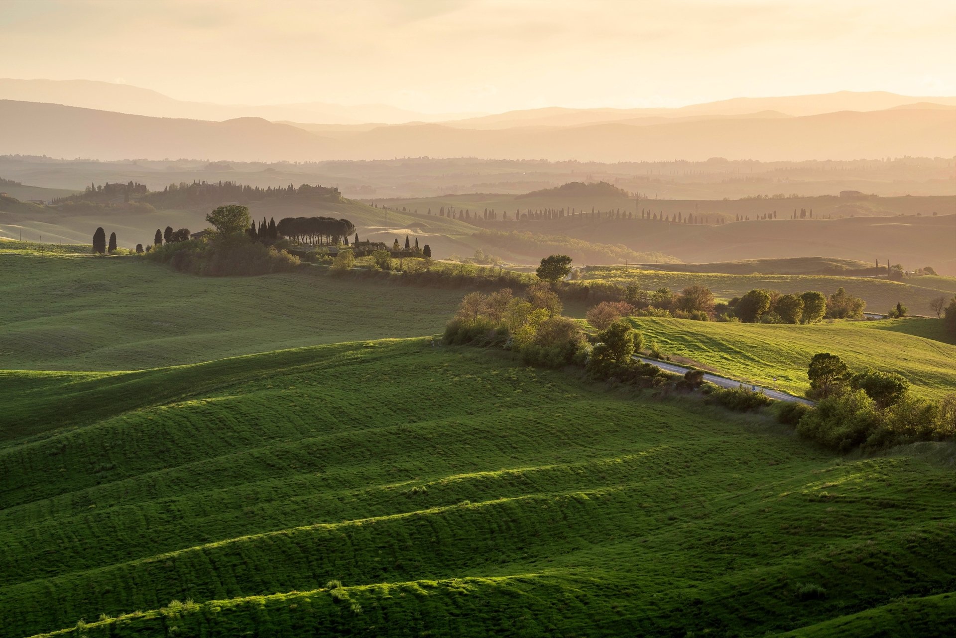 HD photography of rolling green hills and cypress trees in the Tuscan countryside at sunrise, captured as a serene PC desktop wallpaper and background.
