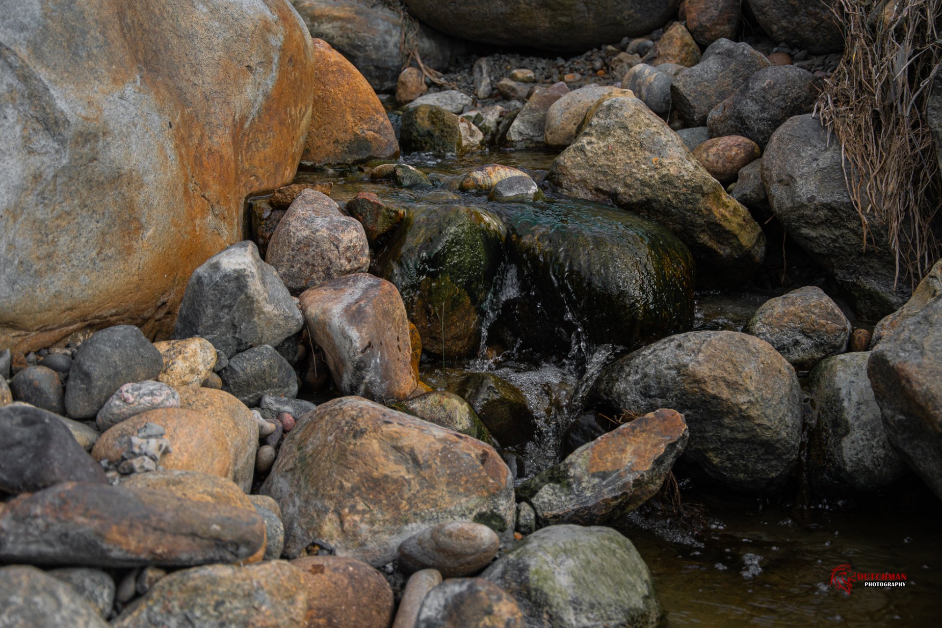 Danish stream by CrashingDutchman