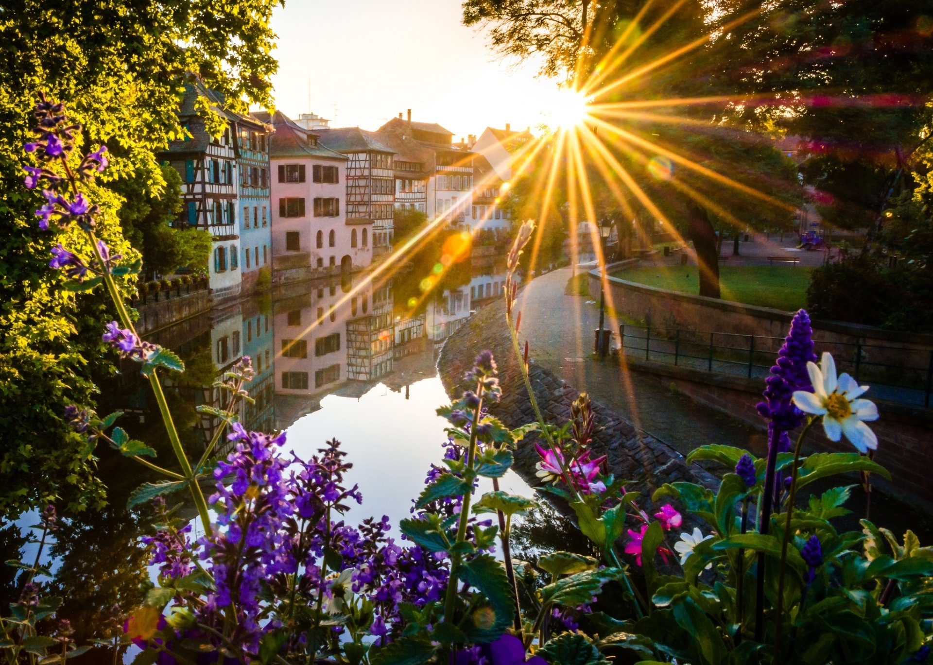 Download Flower Sunbeam House France Man Made Strasbourg HD Wallpaper