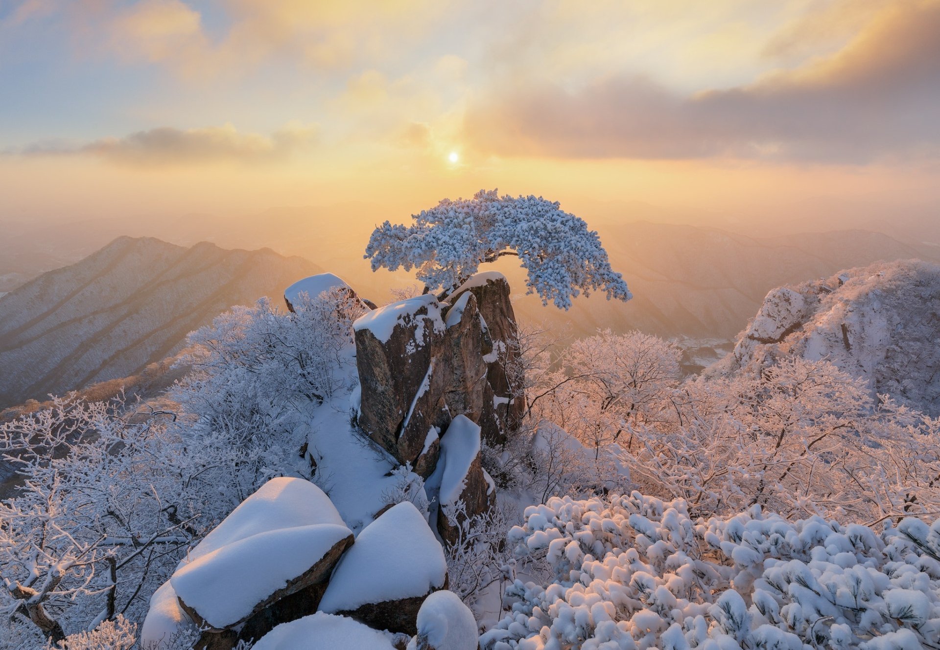 Snow-covered tree on a rocky mountain peak at sunrise, surrounded by snowy landscape and distant mountains, captured in HD for a serene winter nature desktop wallpaper.