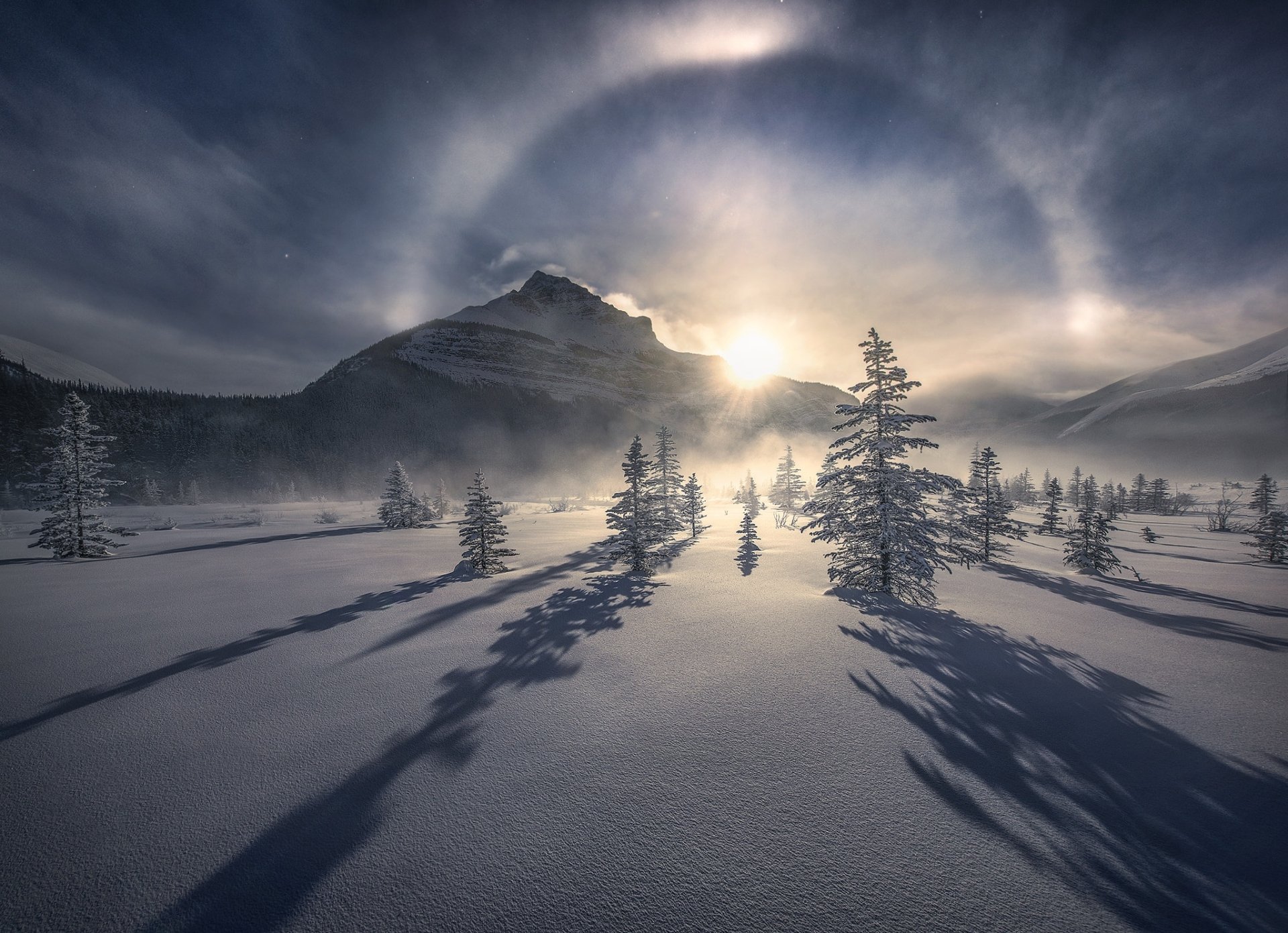 A snowy mountain landscape with tall trees casting long shadows, illuminated by a bright sun halo (sundog) in a winter nature scene, HD desktop wallpaper.