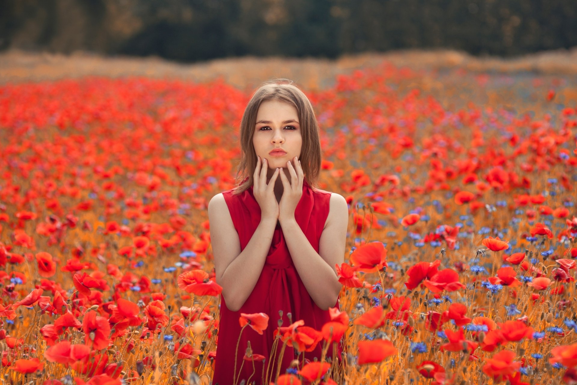 Download Summer Brunette Red Dress Red Flower Poppy Depth Of Field ...