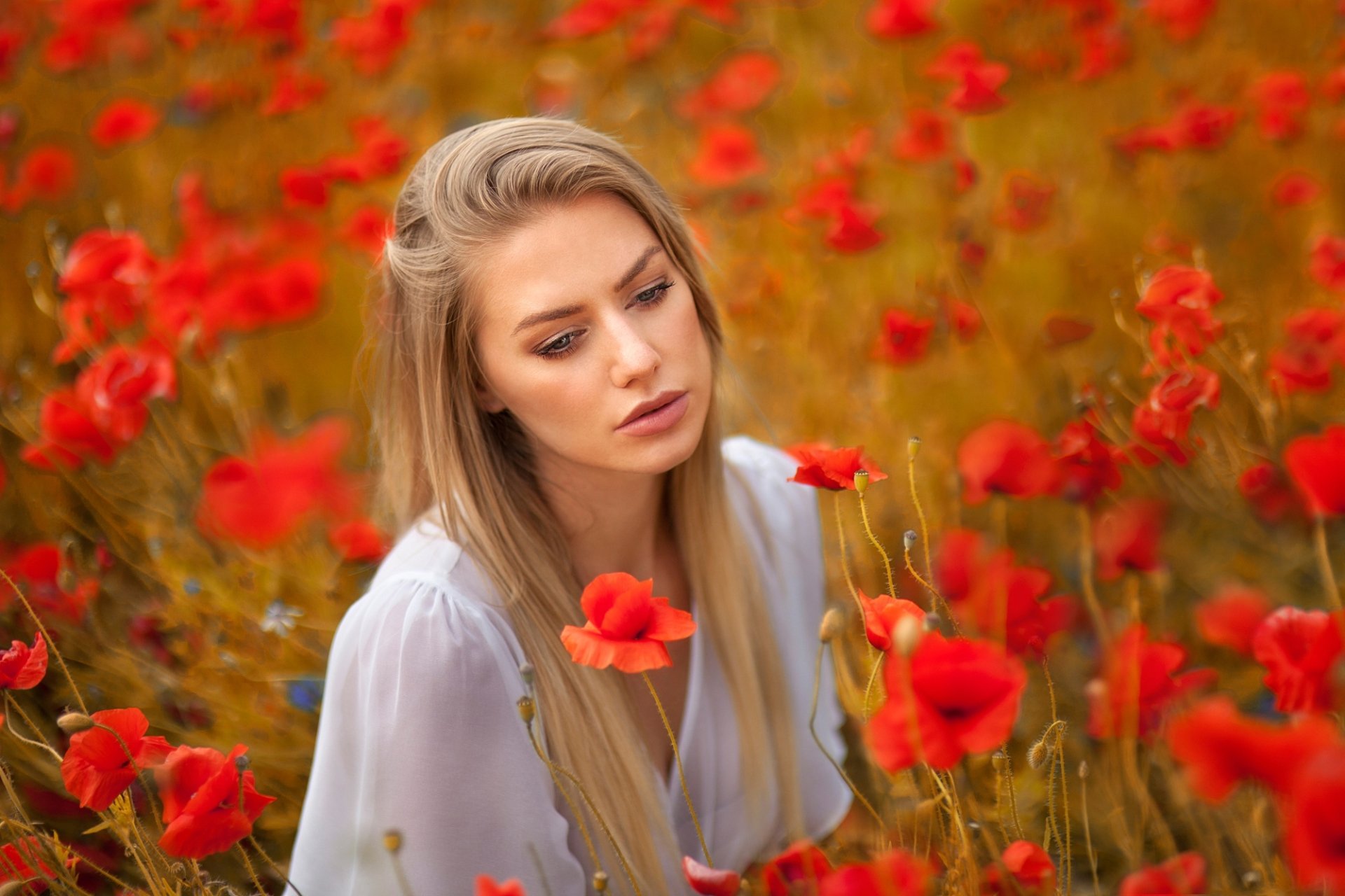 Download Poppy Red Flower Model Blonde Flower Woman Mood HD Wallpaper by Anna Rawka